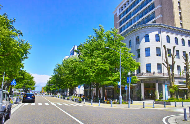 Fresh green Yokohama