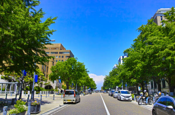 istock Fresh green Yokohama 1317711879