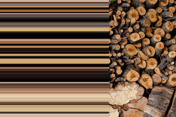 Sawn timber yards folded against the wall. Dry quince tree sawn into logs for the furnace in the stove or fireplace. Stretch pixel effect