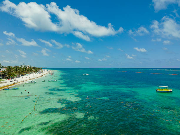 istock Puerto Morelos, Mexico aerial view 1317714114