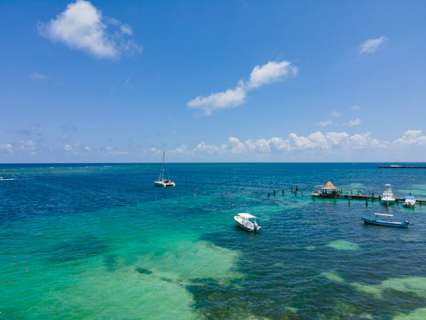 istock Puerto Morelos, Mexico aerial view 1317714685