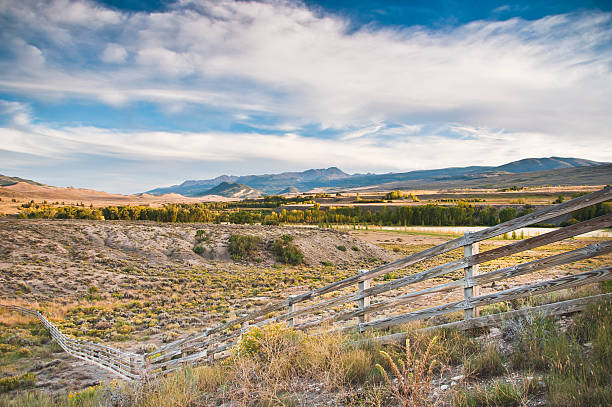 Vedação no Colorado Rockies - fotografia de stock