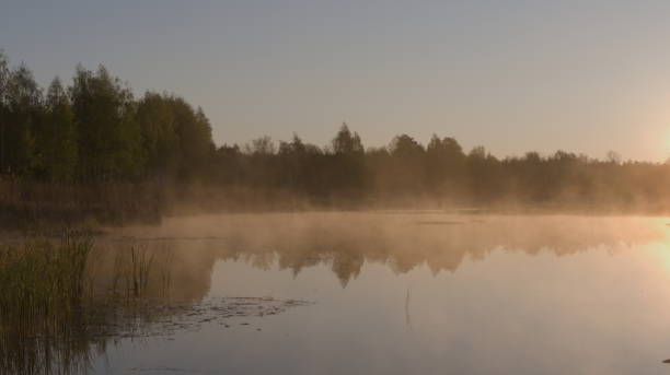 istock Scenery. Morning on the lake. 1317715738