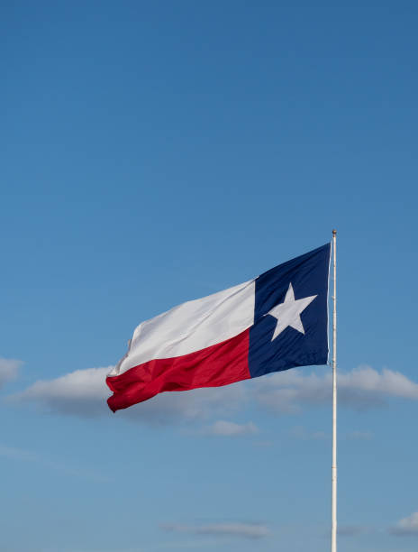 istock Vertical Unfurled Texas Lone Star Flag with Clouds in the Background 1317716416