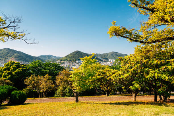 istock Dolsan park in Yeosu, Korea 1317718016