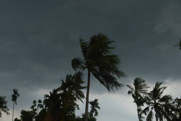 vista al paisaje de norwesters (kalbaishakhi o bordoisila) ambiente tormentoso. gruesas nubes negras de tormenta que cubren el cielo de la puesta del sol con viento rápido y lluvia torrencial justo antes de que comiencen las lluvias y tormentas eléctrica - lightning monsoon hurricane palm tree fotografías e imágenes de stock