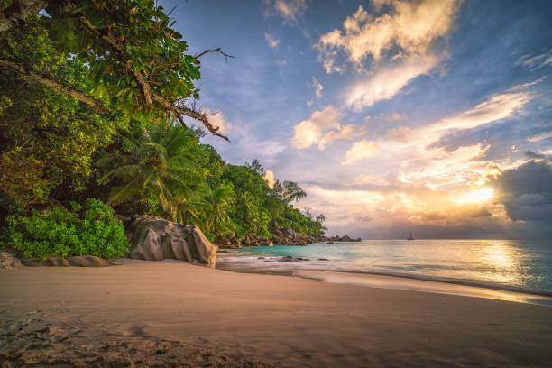istock sunset on paradise beach at anse georgette, praslin, seychelles 1317726439
