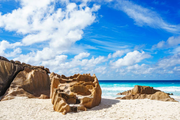 istock granite rocks on seychelles beach, small cove, 2 1317726482