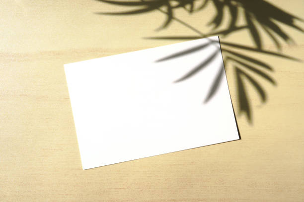 istock A card and shadow of a parlor palm. 1317726600
