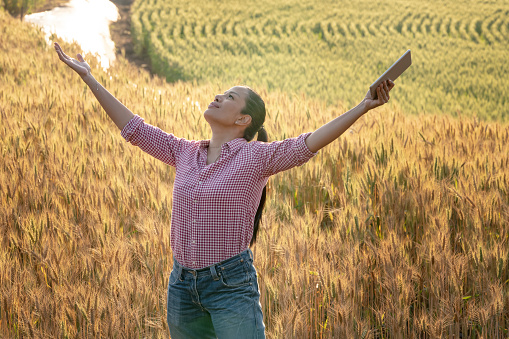 Romantic woman walking and smartphone camera shooting in golden fields of barley. Photo of glad girl enjoying life in wheat field. Girl free on spring day. Joy life day in nature concept.