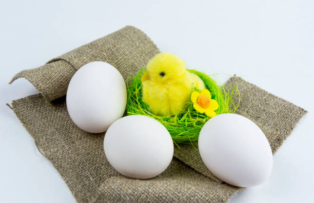 istock White eggs and a yellow chicken in a nest on a white background. Easter Greeting Card 1317729486
