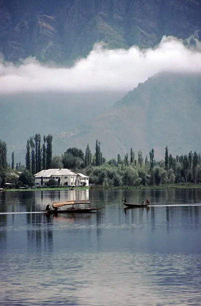 Shikaras (a sort of water taxi) on Dal Lake in Kashmir, India