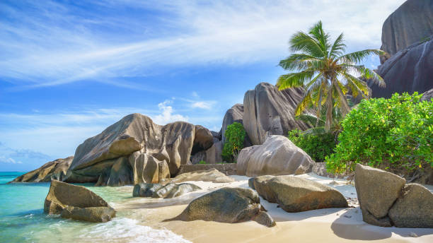 istock tropical beach at silver source cove on the, seychelles 1317731080