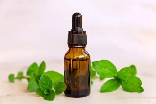 bottle with mint essential oil and green leaves. fresh green peppermint herbal essensce for spa and alternative madicine.
