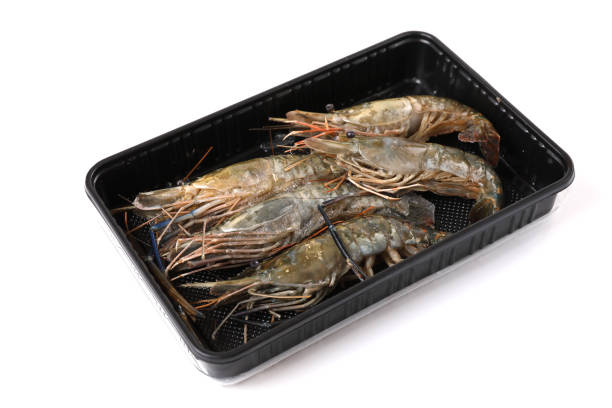 istock Raw prawn isolated in white baackground 1317731996