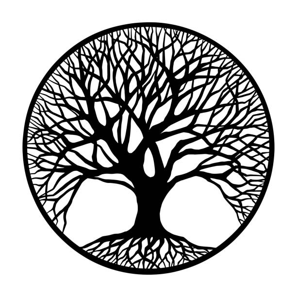 Outline Tree Of Life Outline Tree Of Life in circle shape illustration tree of life stock illustrations