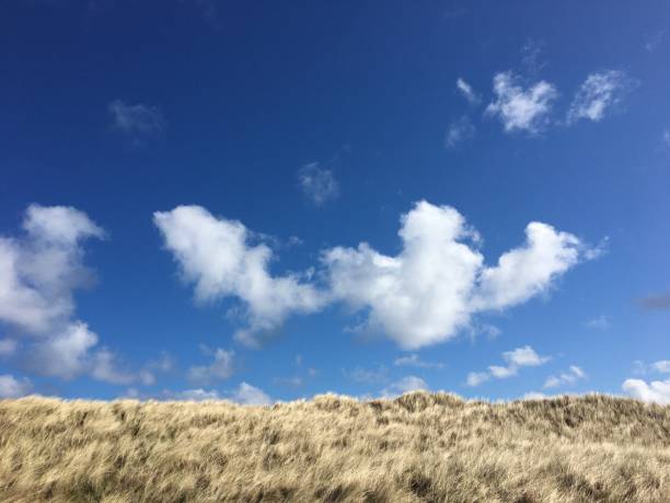 Coastal grass and blue sky background stock photo