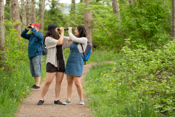 istock Multi-Ethnic Family Birdwatching, Sisters Looking at Each Other with Binoculars 1317734562