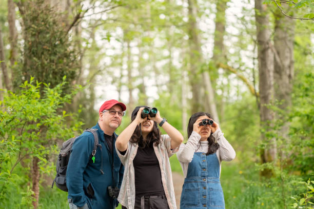 Multi-Ethnic 2 Generation Family Birdwatching in Forest, Father and Daughters