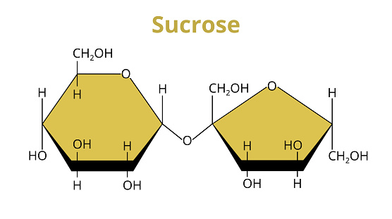 2D vector molecular structure of the disaccharide sucrose, common sugar. Carbohydrate composed of glucose and fructose. The structural formula of the saccharose or table sugar is isolated on a white background.