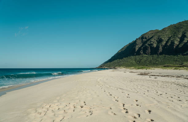 istock Keawaula Beach，Yokohama bay ，Oahu, Hawaii 1317739155
