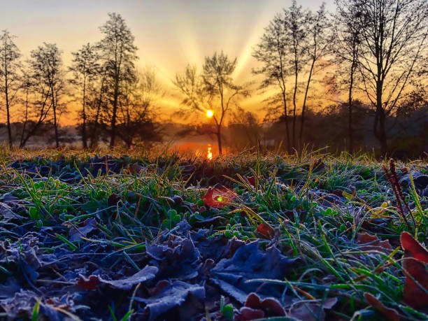 Winter sun in beautiful nature during morning walk in Regensburg.