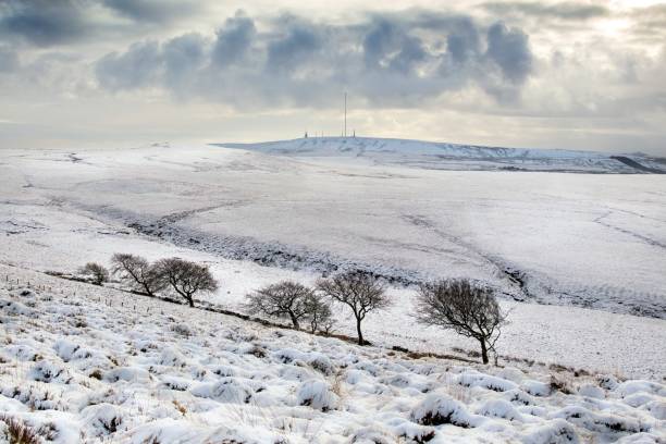 Winter Hill Mast in snow.