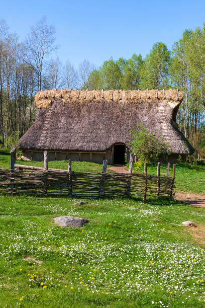 istock Longhouse at a meadow a sunny spring day 1317742144