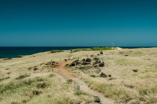 istock KAENA POINT TRAIL，Oahu, Hawaii 1317743710