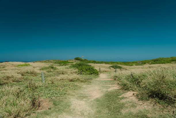 istock KAENA POINT TRAIL，Oahu, Hawaii 1317743781