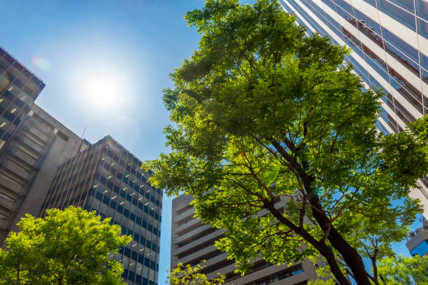 istock Business district, skyscrapers 1317743806