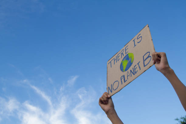 istock Paper board with protest message against climate change 1317743910