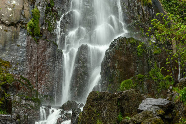 istock Waterfall in a mountain forest in early spring. 1317744600
