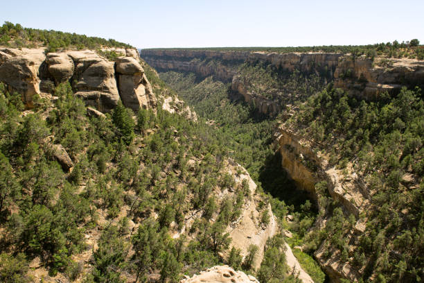 istock View on canyon in Mesa Verde National Park 1317746020
