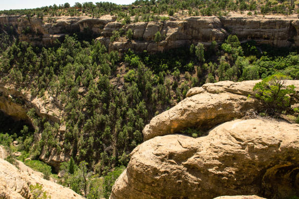 Cliff Palace is one of the most popular ancient cliff dwellings at Mesa Verde National Park.