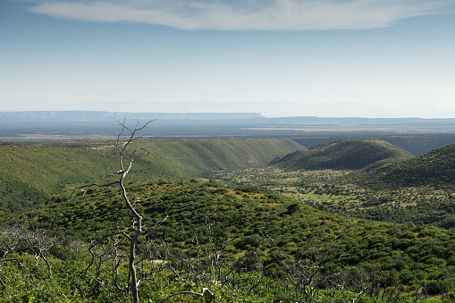 Nature along the way to Mesa Verde National Park, Cortez, Colorado