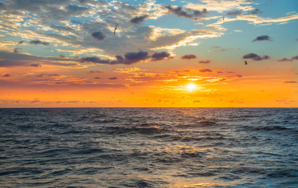 istock Bright colorful orange sunrise 1317747134