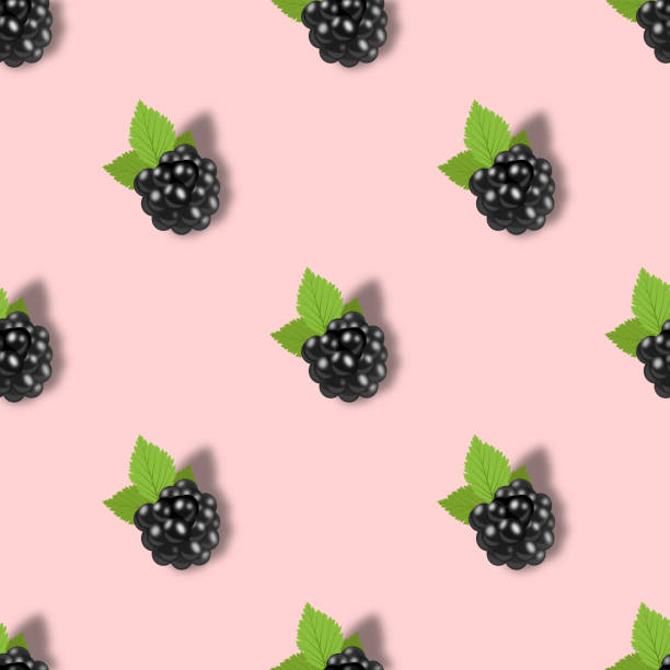 istock Creative seamless blackberry background in modern style. Isolated illustration. 1317750478