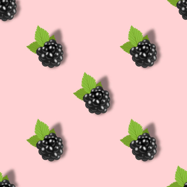 istock Creative seamless blackberry background in modern style. Isolated illustration. 1317750488