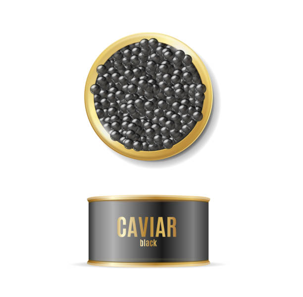 ilustrações de stock, clip art, desenhos animados e ícones de realistic detailed 3d black caviar can set. vector - caviar