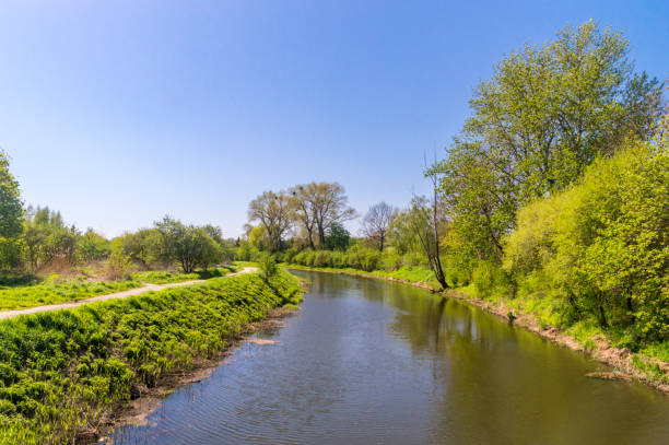 istock Spring scenery of Motlawa river in Poland. 1317755151