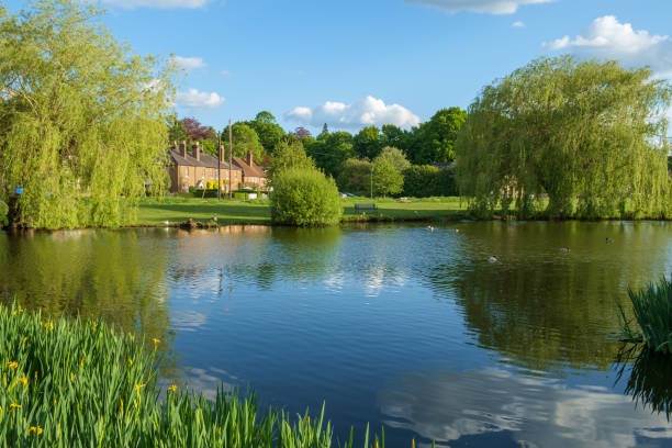 West End Village, Esher, Surrey, England, UK. Quintessential English Village built around a duck pond. West End is a picturesque village in the beautiful leafy county of Surrey in southeast England. The houses built around a large pond with ducks, swans and geese is a picture many have of an idyllic English village. esher stock pictures, royalty-free photos & images