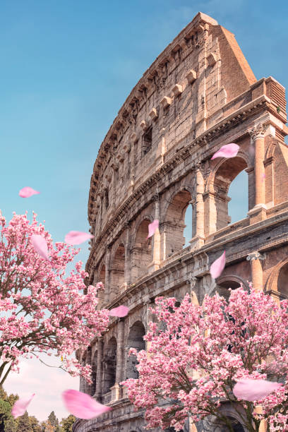 City of Rome in spring The Colosseum the most famous monument in Rome. ancient arch architecture brick stock pictures, royalty-free photos & images