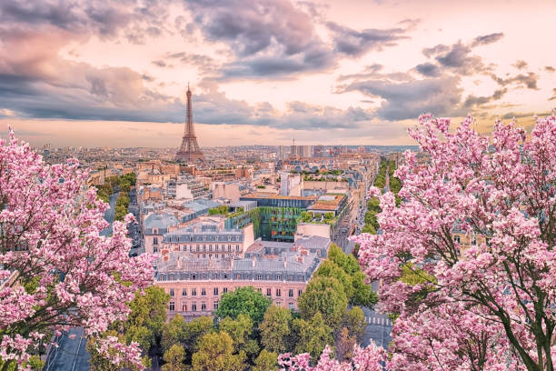 panorama della città di parigi al tramonto - town of blossom foto e immagini stock