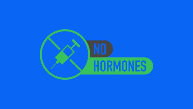 No hormones, no antibiotics green rubber stamp on white background. Realistic object. Motion graphics.