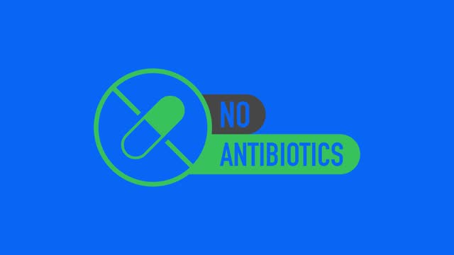 No hormones, no antibiotics green flat banner on white background. Motion graphics.