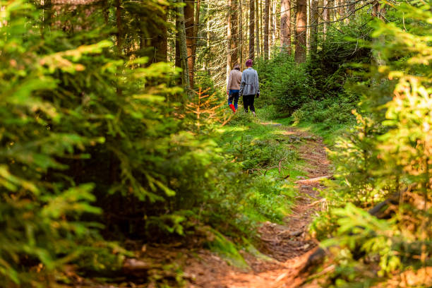 istock People walking on a hike path in a deep forest in table mountain. 1317758178