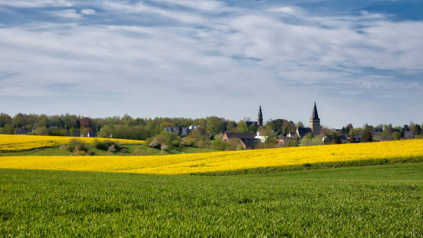 blick auf ratingen homberg über rapsfeld am frühling und wolkenverhangenem blauen himmel - ratingen stock-fotos und bilder