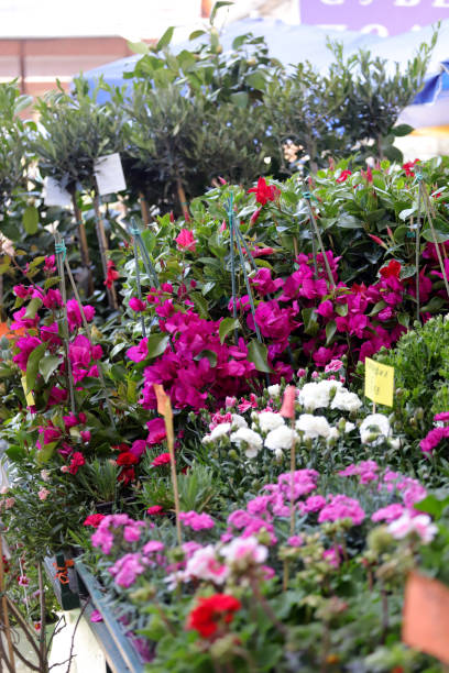 istock Flower's market 1317760889