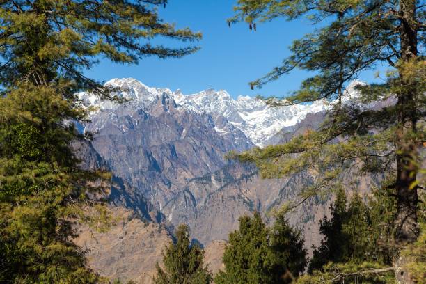 istock India Himalaya mountain woodland himalayan range 1317761067